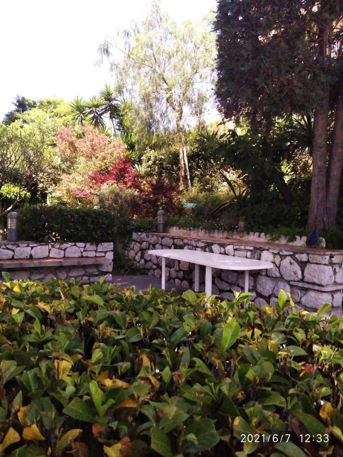 Nice- Gairaut - Jardin Prive- Grand F1 Lumineux-Piscine Collective Ngoại thất bức ảnh